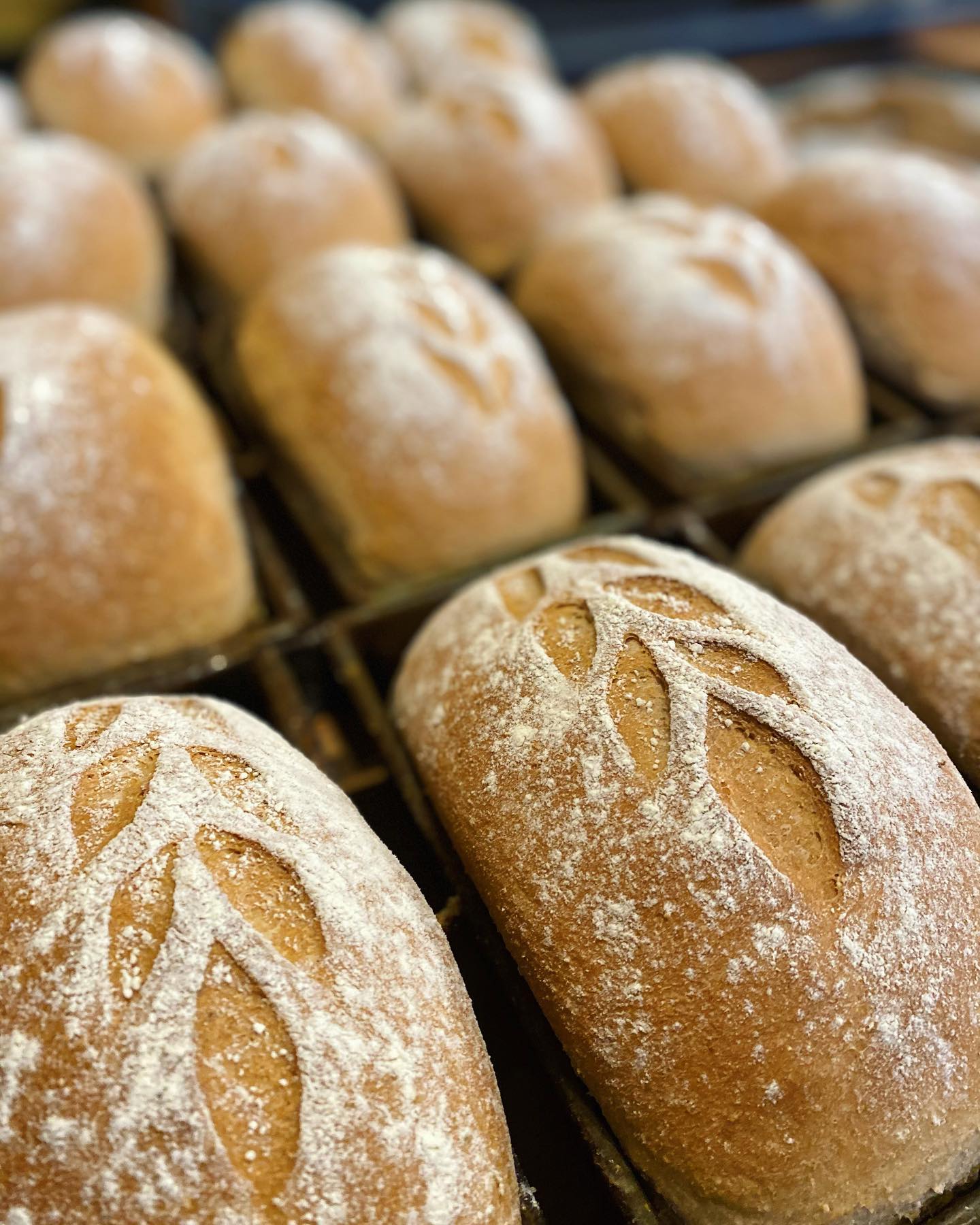 Great Harvest Bakery